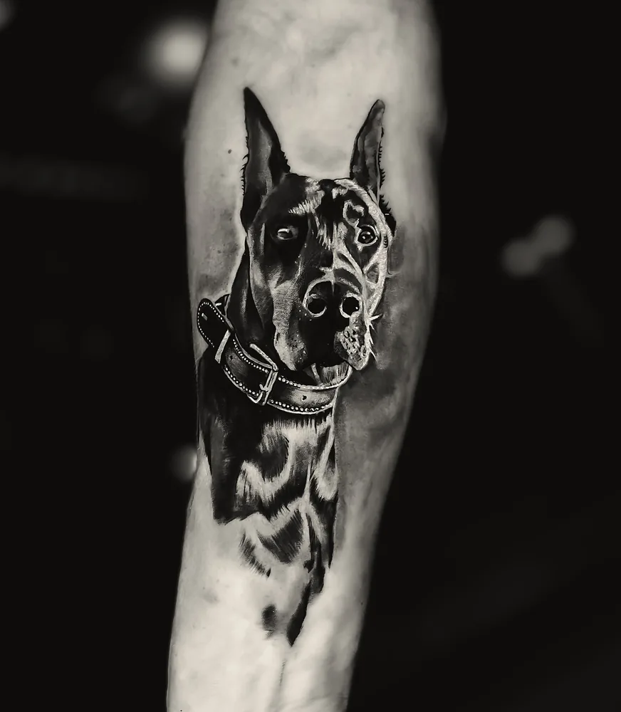 Urus tattoo — forearm, black and grey realism (2)